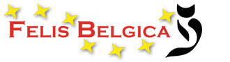 FELIS BELGICA VZW